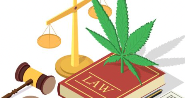 LWL | Legalize Drugs