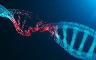 LWL | Gene Editing: The Boundaries of Humane Morality