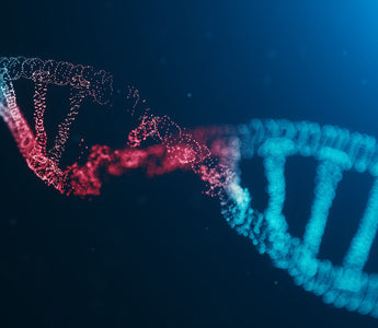 LWL | Gene Editing: The Boundaries of Humane Morality