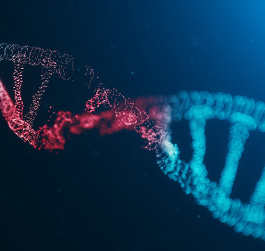 LWL | Gene Editing: The Boundaries of Humane Morality