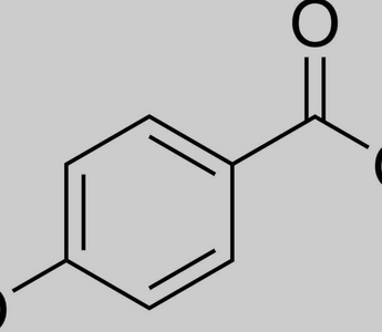 LWL | Effects of Parabens on the Female Endocrine System