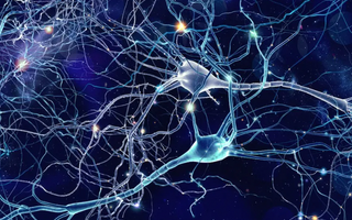 LWL | Artificial memories and brain implants