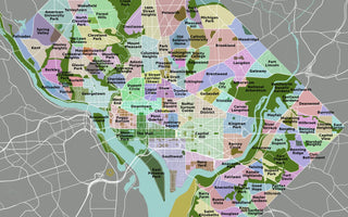 LWL | Food Apartheid and the Health of Minority Childrem:  A Case Study of Washington, DC